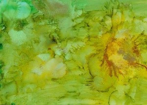 Sunrise in the Swamp